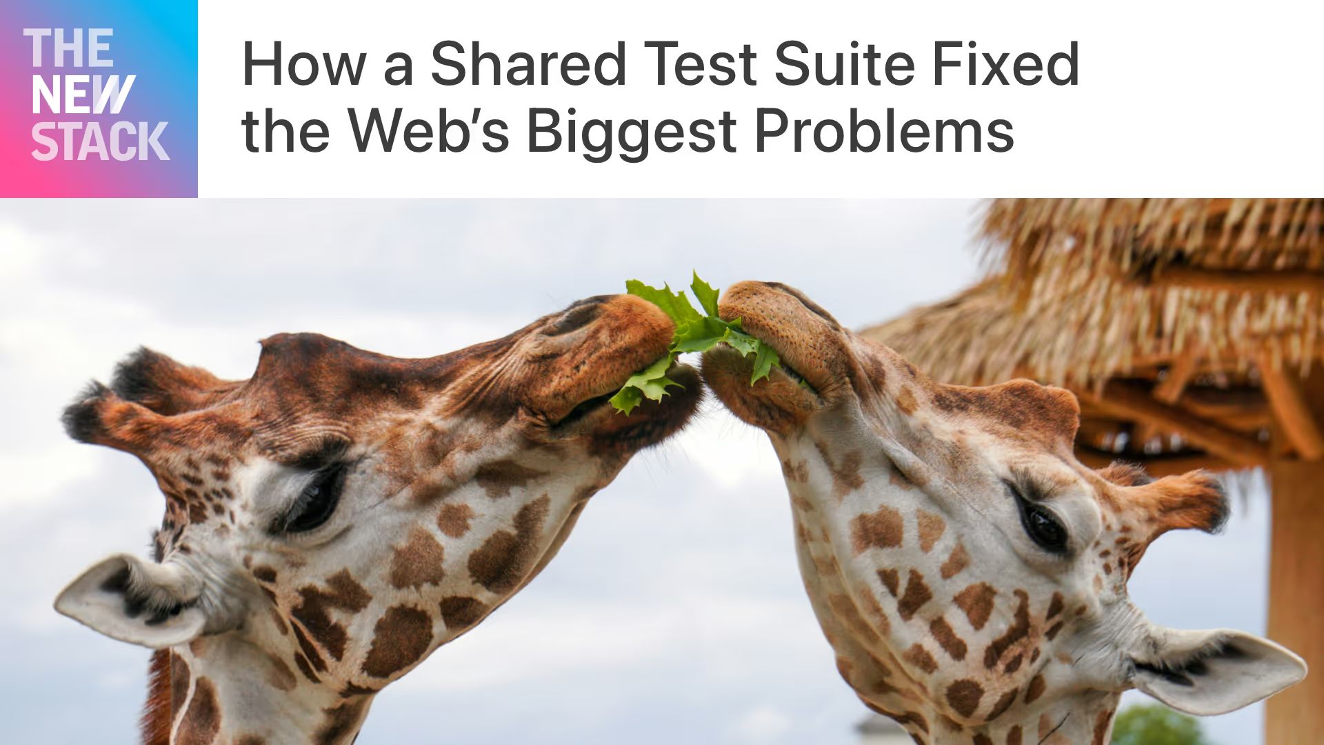 How a shared test suite fixed the web’s biggest problems.