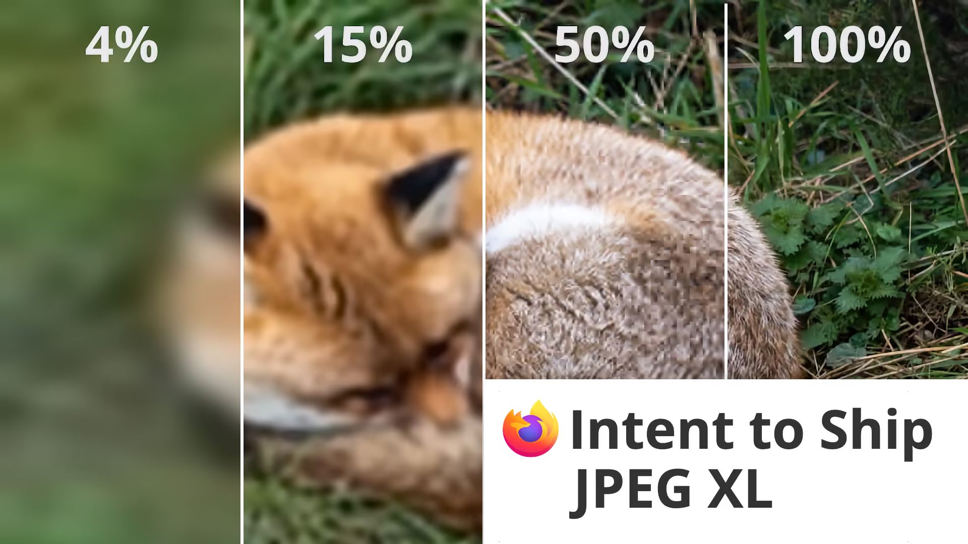 Photo of a fox curled up in grass, split into four strips labeled “4%”, “15%”, “50%”, “100%”, each sharper than the last, with the Firefox logo and the title “Intent to Ship JPEG XL”.