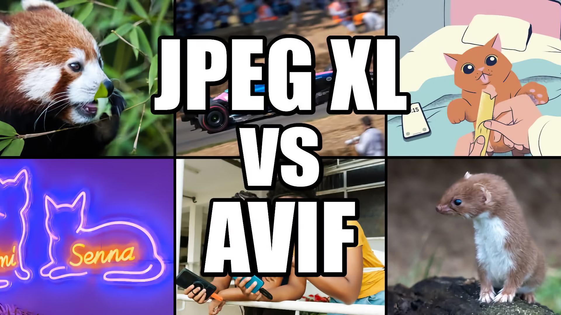 Title “JPEG XL vs AVIF” over a grid of six images: a red panda, a racing car, a cartoon cat, a neon “Senna” sign with cats, people holding phones, and a weasel.